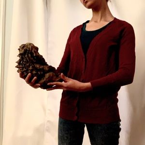 Dark Acadamia Burgundy Cardigan